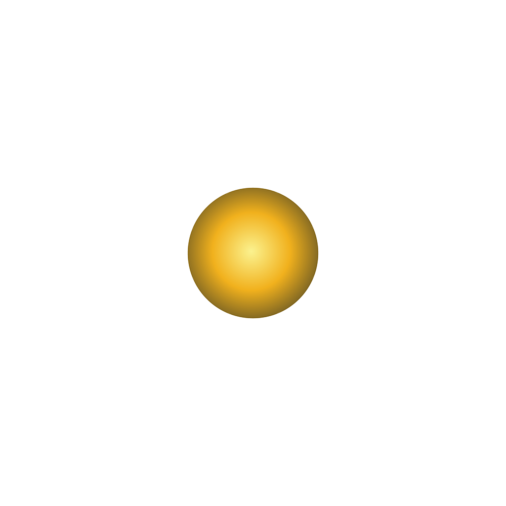 Daisy flowers_2 copy